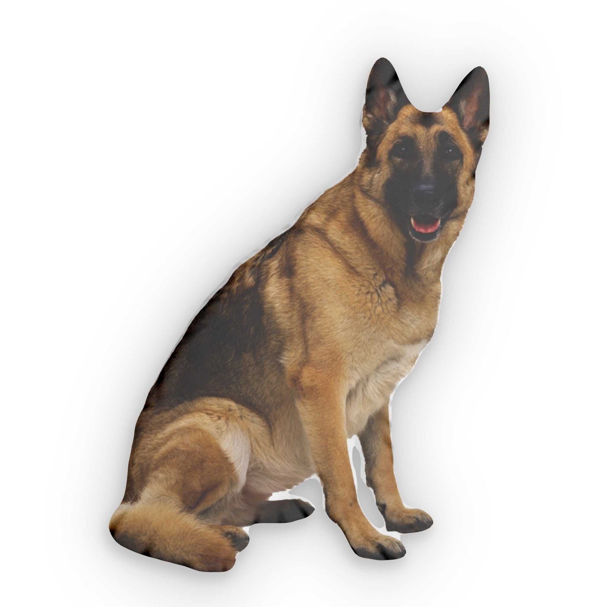 Custom Shaped Pillows